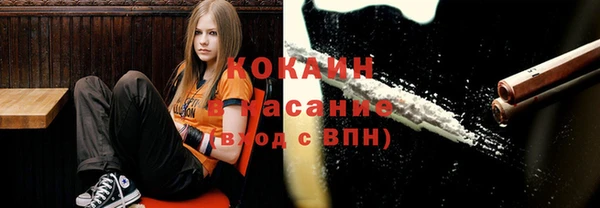 мяу мяу мука Каменногорск