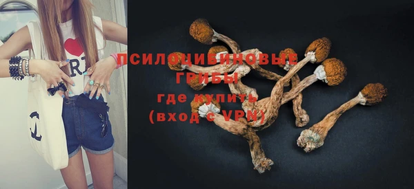амф Карпинск