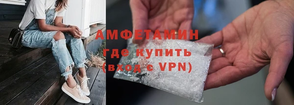 сатива Каменка