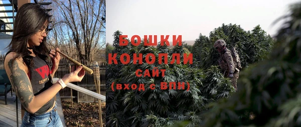 мяу мяу мука Каменногорск