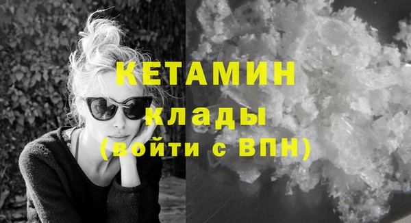 сатива Каменка