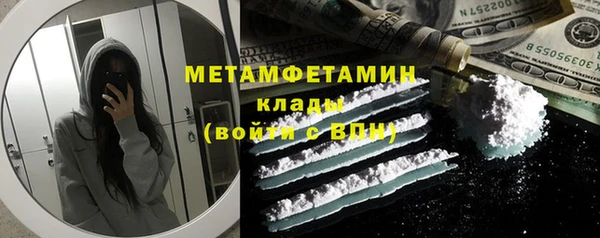 сатива Каменка