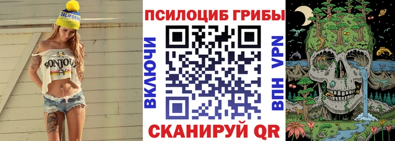 Купить закладки  Корсаков  Псилоцибиновые грибы Psilocybine cubensis 